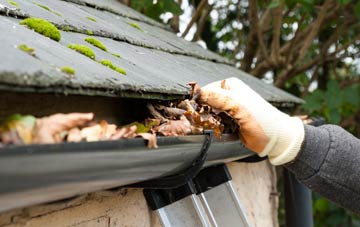 gutter cleaning Broadwater