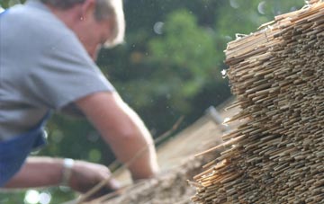 professional Broadwater thatchers